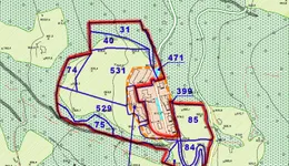 Aste giudiziarie immobiliari online - 7.0