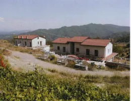 Aste giudiziarie immobiliari online - 2.0