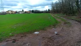 Aste giudiziarie immobiliari online - 3.0