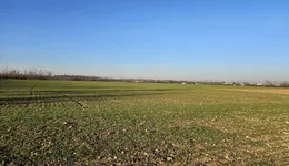 Aste giudiziarie immobiliari online - 7.0