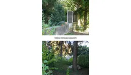 Aste giudiziarie immobiliari online - 6.0