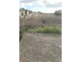 Aste giudiziarie immobiliari online - 7.0