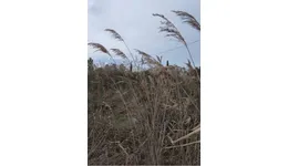 Aste giudiziarie immobiliari online - 6.0