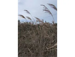 Aste giudiziarie immobiliari online - 6.0