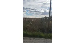 Aste giudiziarie immobiliari online - 8.0