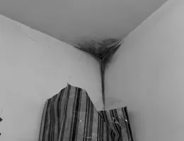 Aste giudiziarie immobiliari online - 9.0