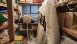 Aste giudiziarie immobiliari online - 7.0