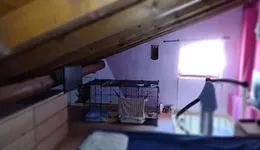 Aste giudiziarie immobiliari online - 11.0