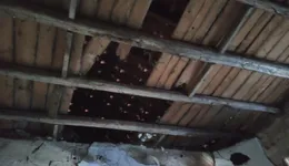 Aste giudiziarie immobiliari online - 4.0