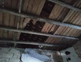 Aste giudiziarie immobiliari online - 4.0