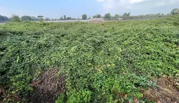 Aste giudiziarie immobiliari online - 3.0