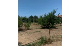 Aste giudiziarie immobiliari online - 4.0