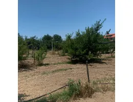 Aste giudiziarie immobiliari online - 6.0