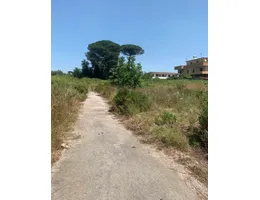 Aste giudiziarie immobiliari online - 7.0