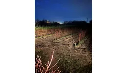 Aste giudiziarie immobiliari online - 3.0