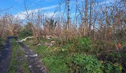 Aste giudiziarie immobiliari online - 1.0