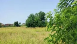 Aste giudiziarie immobiliari online - 11.0