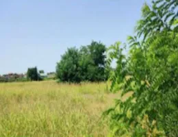 Aste giudiziarie immobiliari online - 11.0