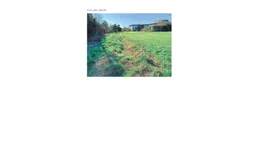 Aste giudiziarie immobiliari online - 7.0