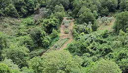 Aste giudiziarie immobiliari online - 11.0