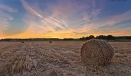 Aste giudiziarie immobiliari online - 7.0