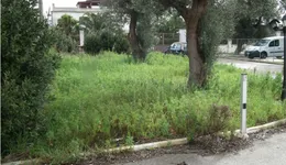 Aste giudiziarie immobiliari online - 4.0