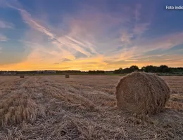 Aste giudiziarie immobiliari online - 2.0