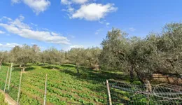 Aste giudiziarie immobiliari online - 4.0