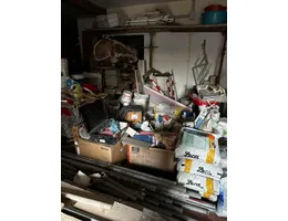 Aste giudiziarie mobiliari online - 7.0