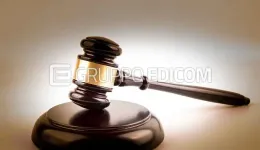 Aste giudiziarie mobiliari online - 11.0