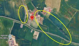 Aste giudiziarie immobiliari online - 1.0