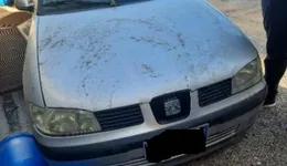 Aste giudiziarie mobiliari online - 5.0