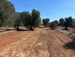 Aste giudiziarie immobiliari online - 6.0