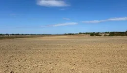 Aste giudiziarie immobiliari online - 8.0