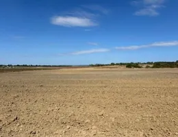 Aste giudiziarie immobiliari online - 5.0