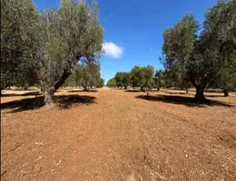 Aste giudiziarie immobiliari online - 2.0