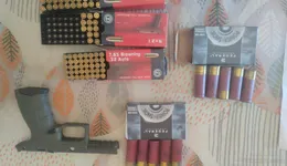 Aste giudiziarie mobiliari online - 11.0