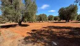 Aste giudiziarie immobiliari online - 2.0