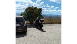 Aste giudiziarie immobiliari online - 12.0