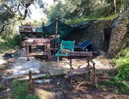 Aste giudiziarie immobiliari online - 11.0