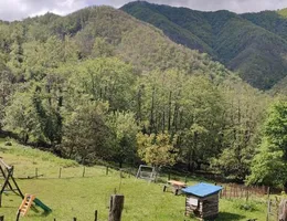 Aste giudiziarie immobiliari online - 12.0