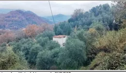 Aste giudiziarie immobiliari online - 5.0
