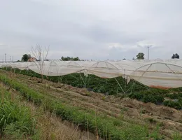 Aste giudiziarie immobiliari online - 7.0