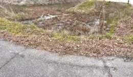 Aste giudiziarie immobiliari online - 3.0