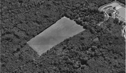 Aste giudiziarie immobiliari online - 6.0