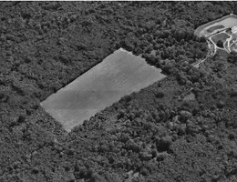 Aste giudiziarie immobiliari online - 3.0