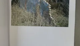 Aste giudiziarie immobiliari online - 10.0