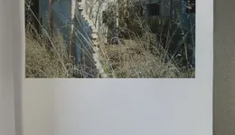 Aste giudiziarie immobiliari online - 10.0