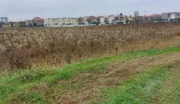 Aste giudiziarie immobiliari online - 11.0