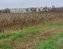 Aste giudiziarie immobiliari online - 11.0